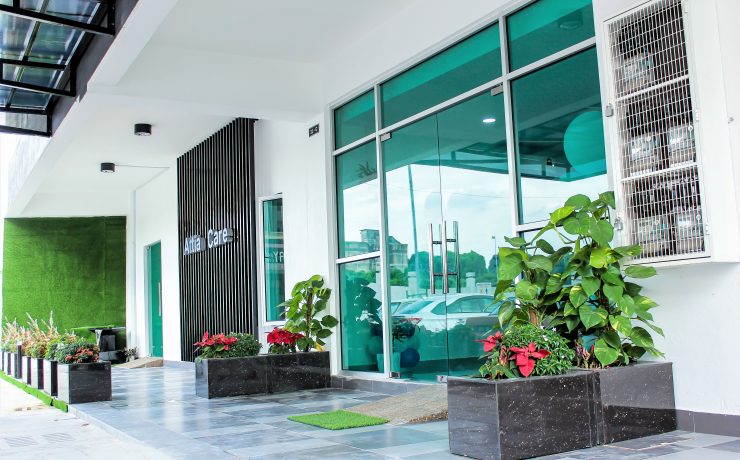 IMG_4737-min-740x460